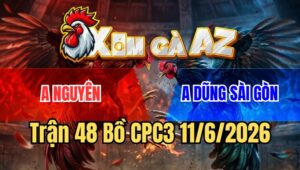 Trận 48 CPC3 11/6/2026: Úa Cọp Đâm Điều Anh Bé Gỡ Cựa Không Kịp