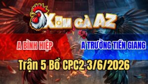 Trận 5 CPC2 3/6/2026: Điều Vừa Buông Đuôi Đá Cặp Ngực Úa Ói Tiền Liền