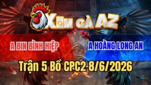 Trận 5 CPC2 8/6/2026: Úa Anh Hoàng Đâm Cựa Quá Hiểm Cú Lọt Tim Hết Cứu