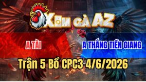 Trận 5 CPC3 4/6/2026: Xanh Đâm Cựa Như Máy, Đối Thủ Gục Ngay Tăng Đầu