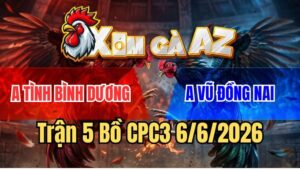Trận 5 CPC3 6/6/2026: Bướm Anh Vũ Canh Chặn Hay Chuối Lọt Tim Hết Sửa