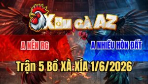 Trận 5 Xà Xía 1/6/2026: Bướm Đâm Lọt Mu Lưng, Khét Té Sách Đuôi Ra