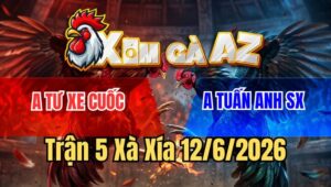 Trận 5 Xà Xía 12/6/2026: Bướm Anh Tư Xe Cuốc Đâm Cựa Như Sam Sít