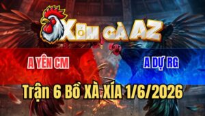 Trận 6 Xà Xía 1/6/2026: Điều Xanh Đâm Cựa Nóng Lạnh, Đỏ Hư Hình Chạy
