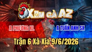 Trận 6 Xà Xía 9/6/2026: Xanh Đá Như Cái Máy, Đỏ Té Trong Tay Nước Đầu