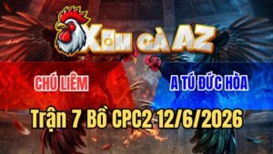 Trận 7 CPC2 12/6/2026: Đỏ Đá Như Cây Đập Xanh Gãy Giò Thua Nhanh Gọn