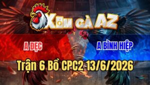 Trận 7 CPC2 13/6/2026: Điều Đâm Lọt Ngay Ông Địa Úa Té Nằm Một Đống