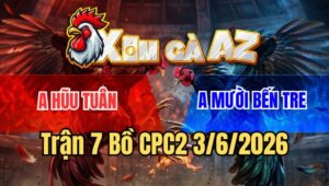 Trận 7 CPC2 3/6/2026: Điều Đá Bướm Te Xong Bỏ Ô Câu Đầu Không Mổ Hòa