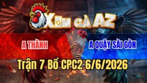 Trận 7 CPC2 6/6/2026: Gà Anh Quậy Có Chân Xạo Lờ Phản Ăn 1 Đẳng Cấp