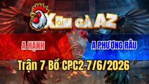 Trận 7 CPC2 7/6/2026: Bướm Nhập Vào Đá Phát Nào Điều Đăng Xuất Phát Đó