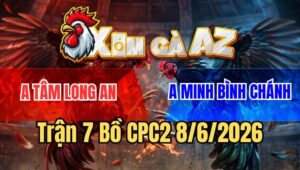 Trận 7 CPC2 8/6/2026: Điều Mồng Cắt Anh Tâm Đâm Gà Que Hở Van Tim