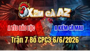 Trận 7 CPC3 6/6/2026: Điều Cọp Anh Điểm Đâm Gà Anh Tèo Gục Đầu Chạy