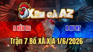 Trận 7 Xà Xía 1/6/2026: Bướm Chồng Độ Đá Điều Bay Trong Tay Nước Đầu