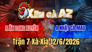 Trận 7 Xà Xía 12/6/2026: Úa Đá Mu Lưng Xám Té Chết Trong Chân
