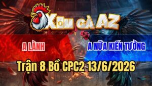 Trận 8 CPC2 13/6/2026: Điều Đá Cựa Như Sam Sít, Bướm Không Có Cửa Ăn