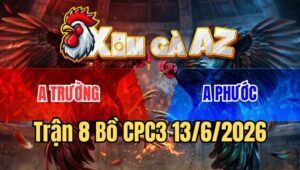 Trận 8 CPC3 13/6/2026: Úa Cầm Chắc Chiến Thắng Bỗng Thua Đau Phút 90
