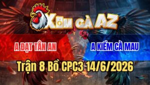 Trận 8 CPC3 14/6/2026: Que Cọp Anh Kiểm Nhỏ Mà Có Võ Đâm Khét Nát Mình