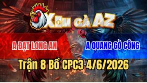 Trận 8 CPC3 4/6/2026: Chuối Đen Anh Tài Đâm Gà Bướm Chạy La làng