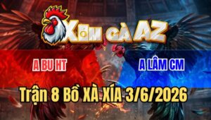 Trận 8 Xà Xía 3/6/2026: Úa Cọp Anh Bu Đâm Xanh Cái Mình Như Tổ Ong
