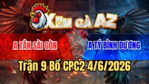 Trận 9 CPC2 4/6/2026: Bướm May Độ Đá Trúng Nách Non, Điều Rớt Đài Ăn 3