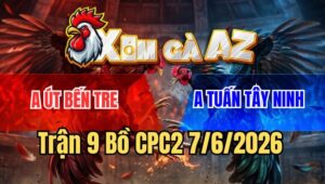 Trận 9 CPC2 7/6/2026: Gà Cú Anh Tuấn Hạ Sát Đối Thủ Không Dính Mũi Cựa