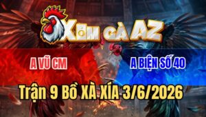 Trận 9 Xà Xía 3/6/2026: Khét Đâm Quá Đâm Điều Cứng Mình Hết Sửa