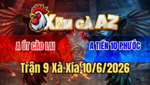 Trận 9 Xà Xía 19/6/2026: Đỏ Bươi Chà Như Cái Máy Xanh Ói Chết Tại Mức