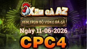 Xem Full Video Đá Gà CPC4 Ngày 11/06/2026