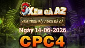 Xem Full Video Đá Gà CPC4 Ngày 14/06/2026