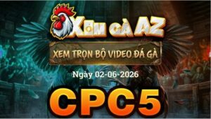 Xem Full Video Đá Gà CPC5 Ngày 02/06/2026