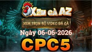 Xem Full Video Đá Gà CPC5 Ngày 06/06/2026