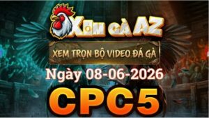 Xem Full Video Đá Gà CPC5 Ngày 08/06/2026