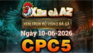 Xem Full Video Đá Gà CPC5 Ngày 10/06/2026